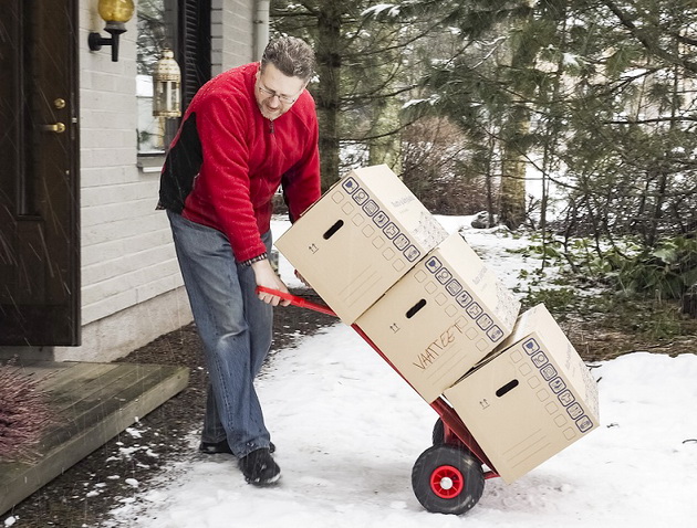 How to Survive Long-Distance Move in Winter
